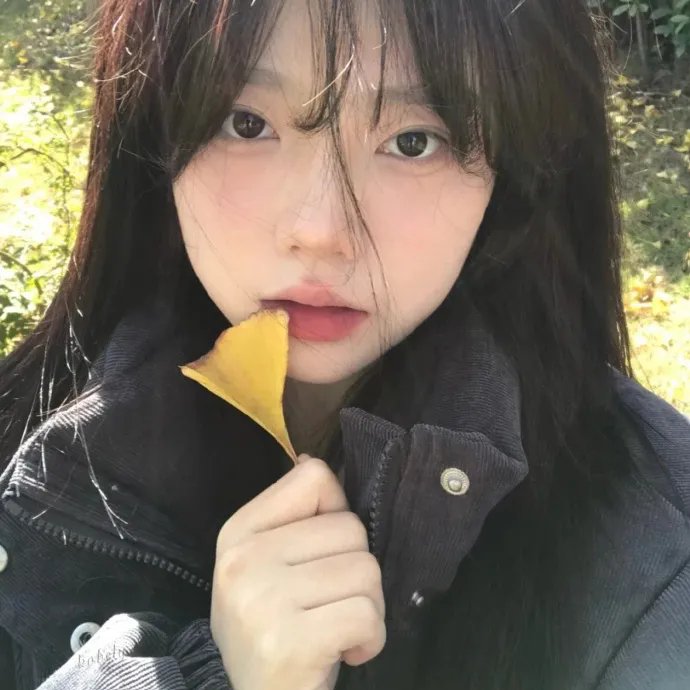 法网缉凶