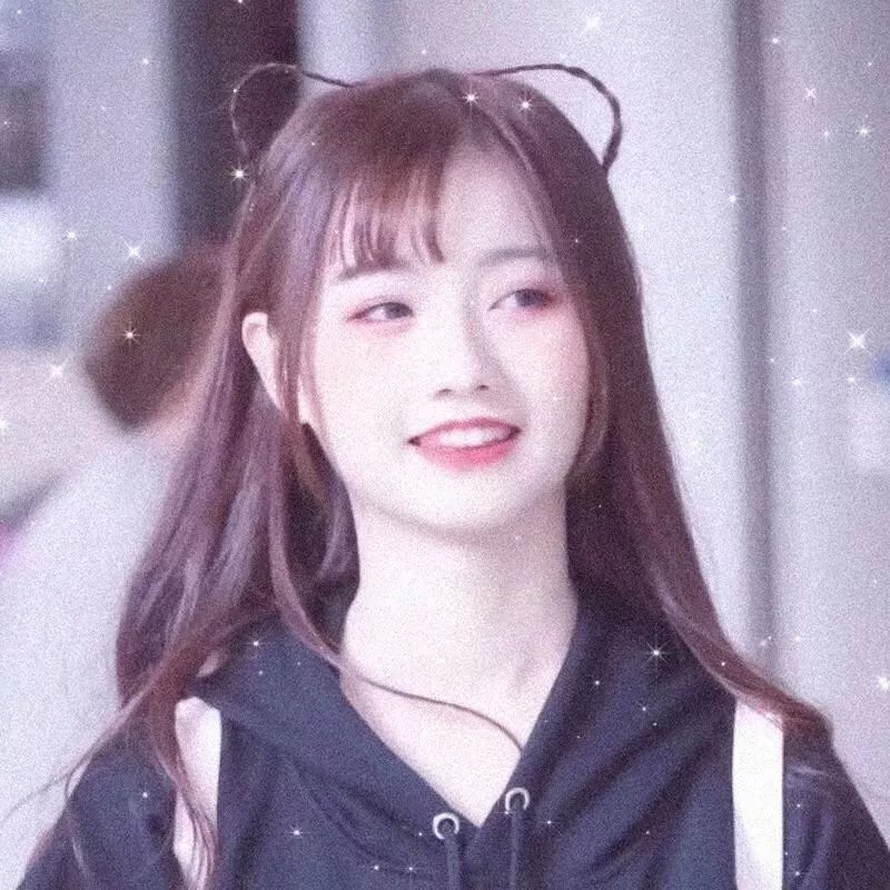 方案